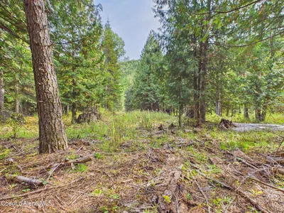 Property 26-10056 - Photo 10