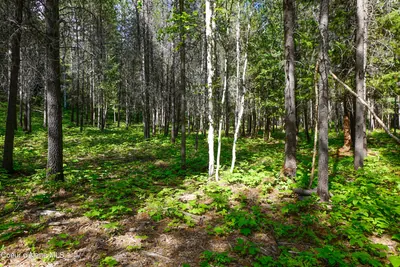 Property 26-480 - Photo 4