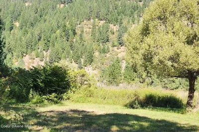 Property 26-9423 - Photo 65