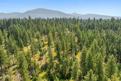 Property 26-7751 - Photo 10