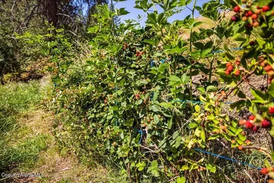 Property 26-8581 - Photo 34