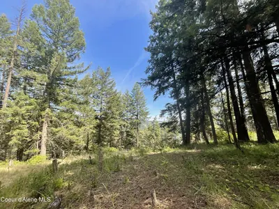 Property 26-7206 - Photo 18