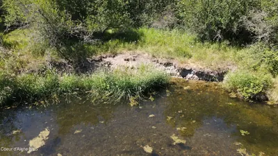 Property 26-5287 - Photo 13