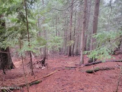 Property 26-2474 - Photo 1