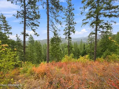 Property 26-8724 - Photo 8