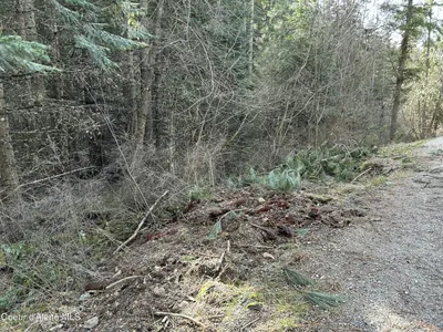 Property 26-3149 - Photo 21