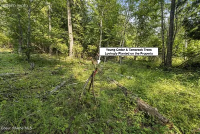 Property 26-7885 - Photo 29