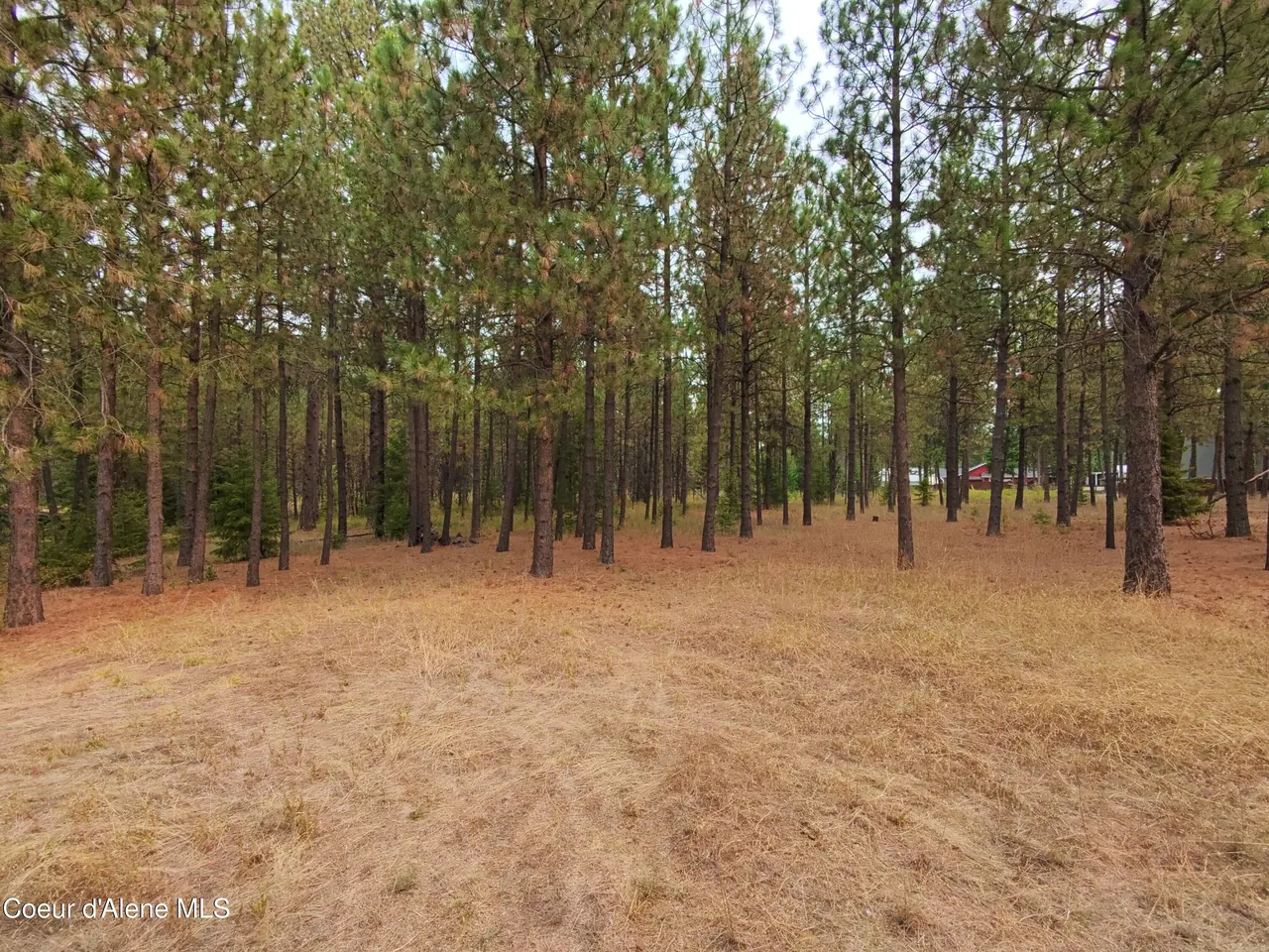 Property 26-9089 - Photo 1