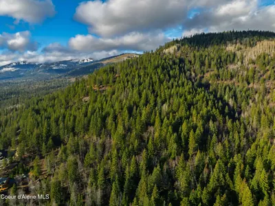 Property 25-11563 - Photo 21