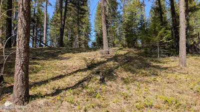 Property 25-1668 - Photo 8