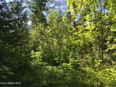 Property 26-1578 - Photo 4