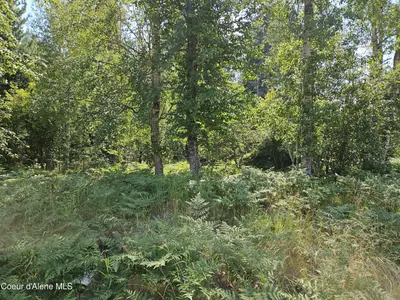 Property 26-7765 - Photo 31
