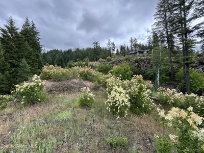 Property 26-6620 - Photo 23