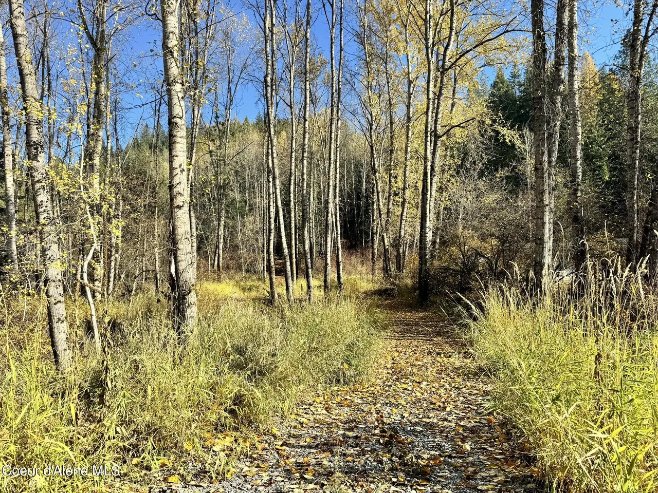 Property 25-10436 - Photo 1