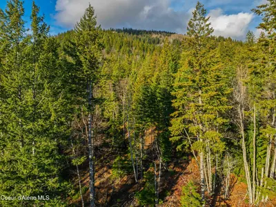 Property 25-11563 - Photo 14