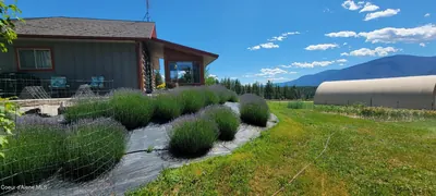 Property 26-6185 - Photo 18
