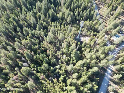 Property 26-10168 - Photo 15