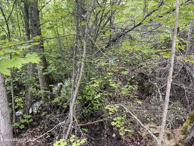 Property 26-7779 - Photo 29