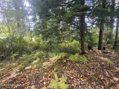 Property 26-9938 - Photo 70