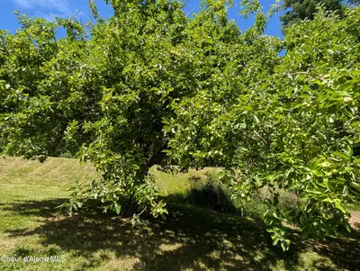 Property 26-7186 - Photo 36