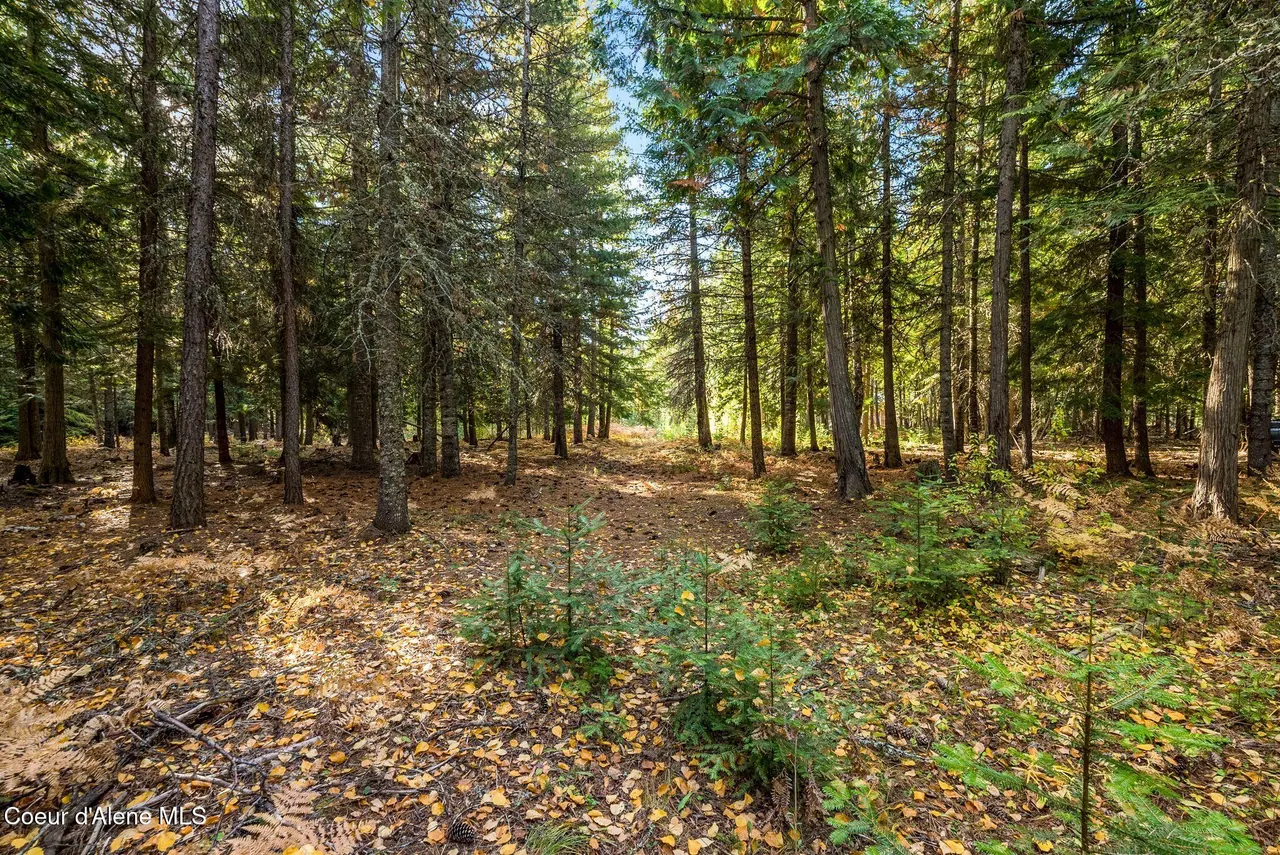 Property 26-10321 - Photo 1