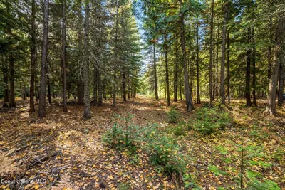 Property 26-10321 - Photo 1