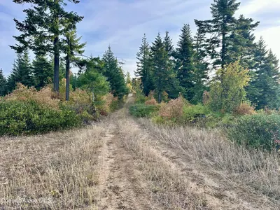 Property 26-9670 - Photo 50