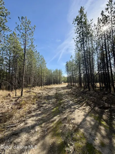 Property 26-10039 - Photo 9