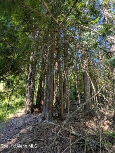 Property 26-7348 - Photo 12