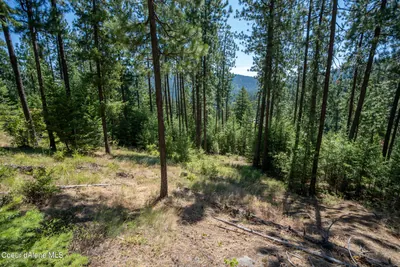 Property 26-9109 - Photo 19