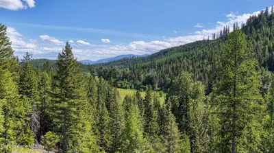 Property 26-6117 - Photo 16