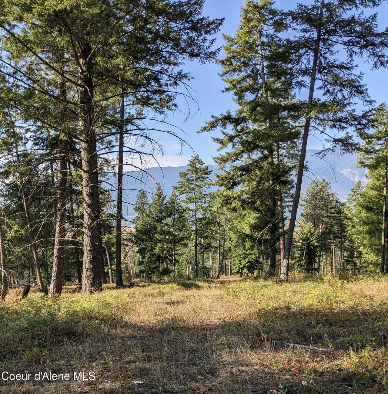 Property 26-2586 - Photo 1