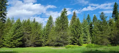 Property 26-10604 - Photo 7