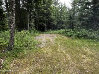 Property 26-6603 - Photo 5