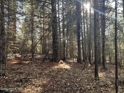 Property 25-10436 - Photo 9