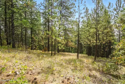Property 26-7725 - Photo 6