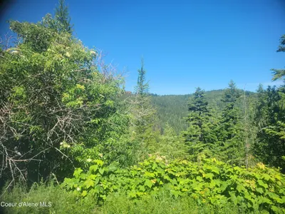 Property 26-6889 - Photo 4