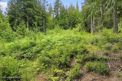 Property 26-7356 - Photo 8