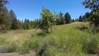 Property 26-8866 - Photo 5