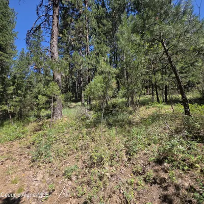 Property 26-6922 - Photo 34