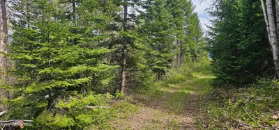 Property 26-4498 - Photo 7