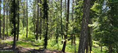 Property 25-5982 - Photo 12