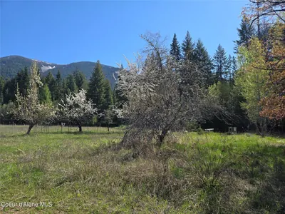 Property 26-4055 - Photo 5