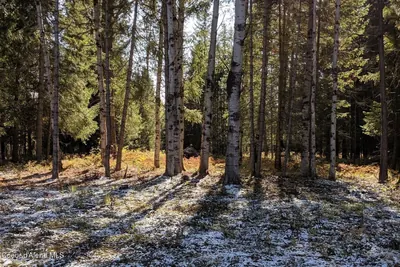 Property 26-2538 - Photo 51