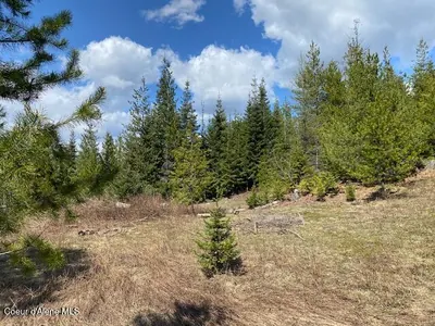 Property 25-4559 - Photo 7