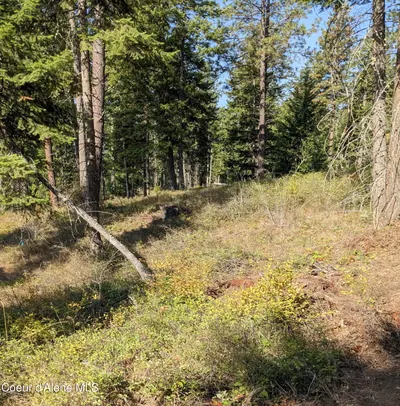 Property 26-2586 - Photo 10