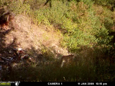 Property 26-3633 - Photo 2