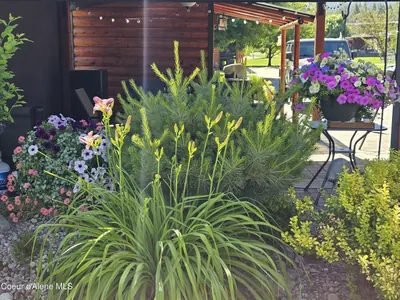 Property 26-135 - Photo 5