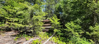 Property 25-5982 - Photo 20