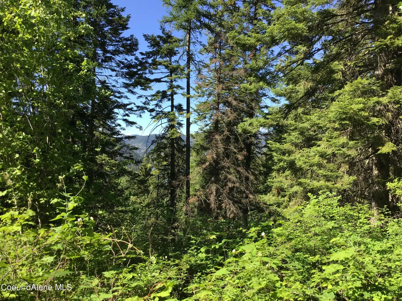 Property 26-1578 - Photo 1